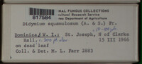 Image Associated With the Occurence